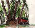 camion_au_Tigre